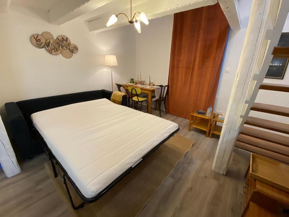 Les Cosy De Nancy - Le Duplex Vintage 4* Appartement Buitenkant foto